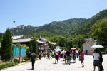 DSC00806