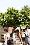 DSC00813