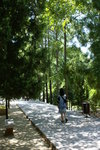 DSC00829