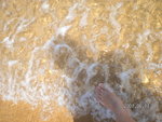 SANY0026