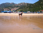 SANY0027