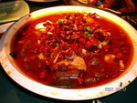 SANY0033