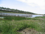 IMG_1009