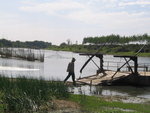 IMG_1011