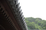ChiLin_043