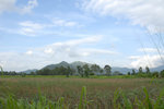 NamSangWai_036