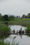 NamSangWai_039