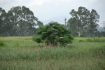 NamSangWai_048