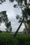 NamSangWai_057