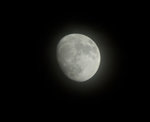 DSC_0319a