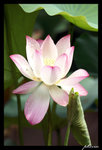 PICT0021_edit