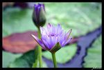 PICT0050_edit
