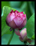 PICT0085_edit