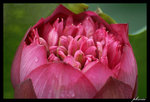 PICT0089_edit