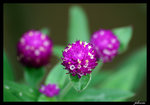 PICT0148_edit