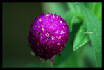 PICT0149_edit
