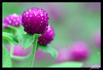 PICT0151_edit