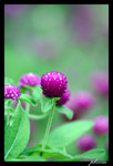 PICT0152_edit