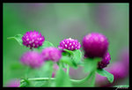 PICT0153_edit