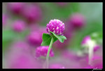 PICT0154_edit