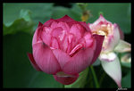 PICT0186_edit