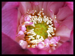 PICT0191_edit