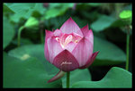 PICT0193_edit