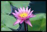 PICT0262_edit
