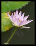 PICT0266_edit