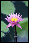 PICT0271_edit