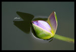 PICT0274_edit