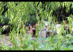 PICT0291_edit