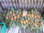 Phuket Town-Pineapple