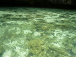 清水2