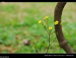 DSC_1288
