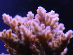 PNG0020