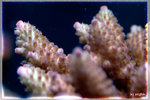PNG0048