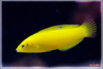 PNG0060