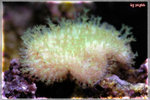 PNG0074