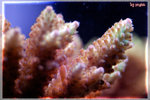 PNG0079