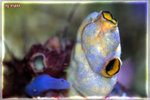 PNG0083
