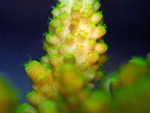 PNG0033