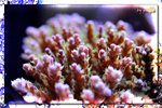 PNG0160