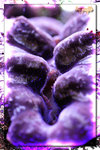 PNG0171