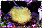 PNG0174