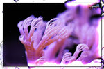 PNG0175
