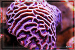 PNG0040