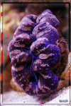 PNG0047