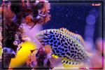 PNG0056