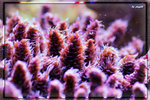 PNG0057